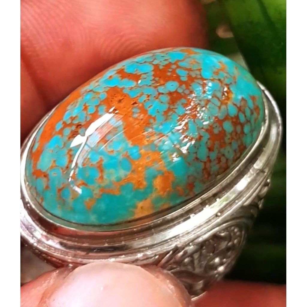 Pirus Persia Naisabur hijau ceplok kuro urat emas HQ size jumbo mumbul