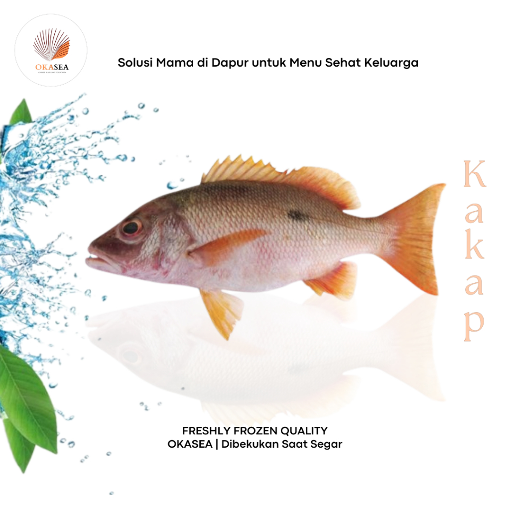 Ikan Kakap Tompel | Golden Snapper | Kualitas Premium