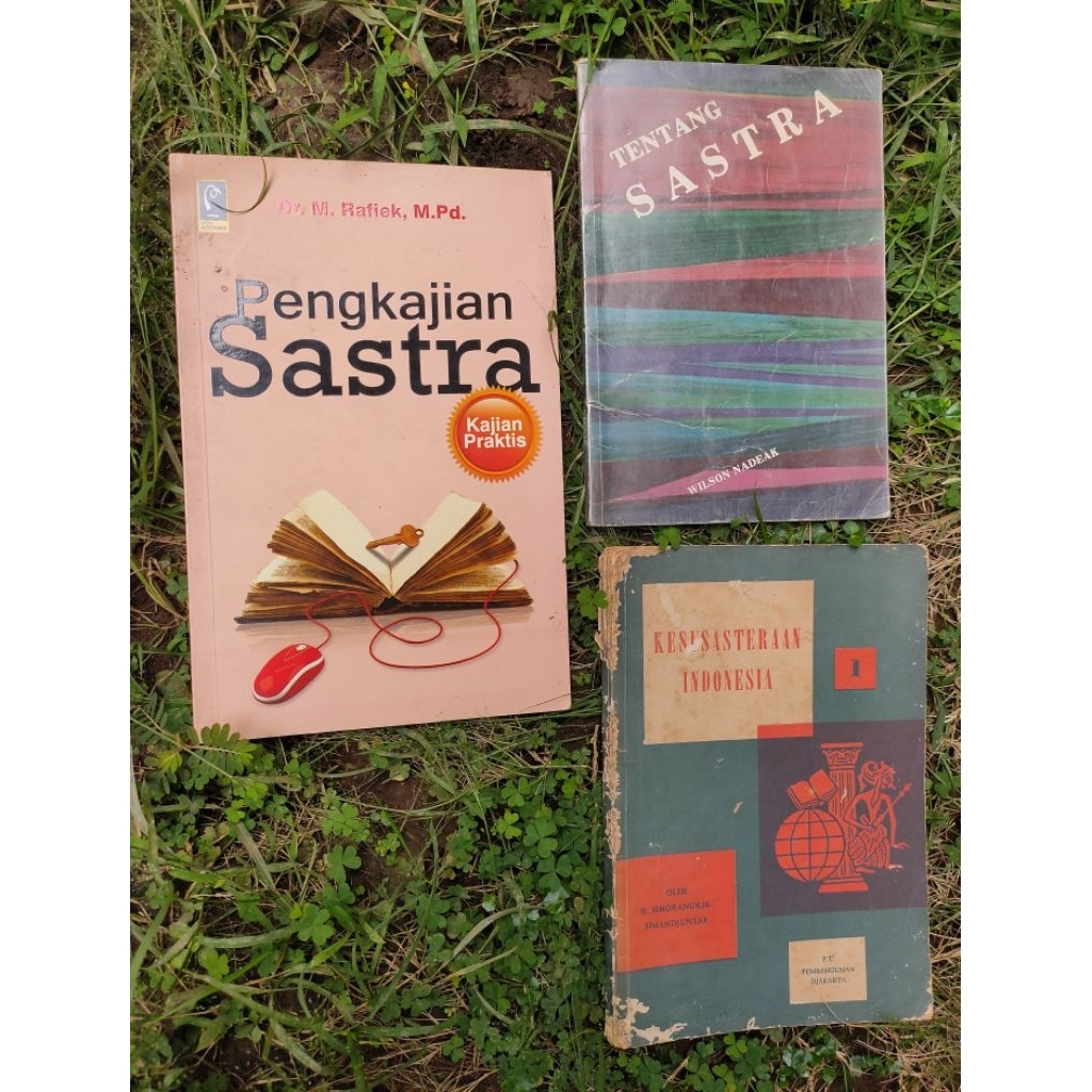 Paket buku tentang sastra Indonesia Buku pengkajian sastra Rafiek/Analisis karya sastra Indonesia/Ti