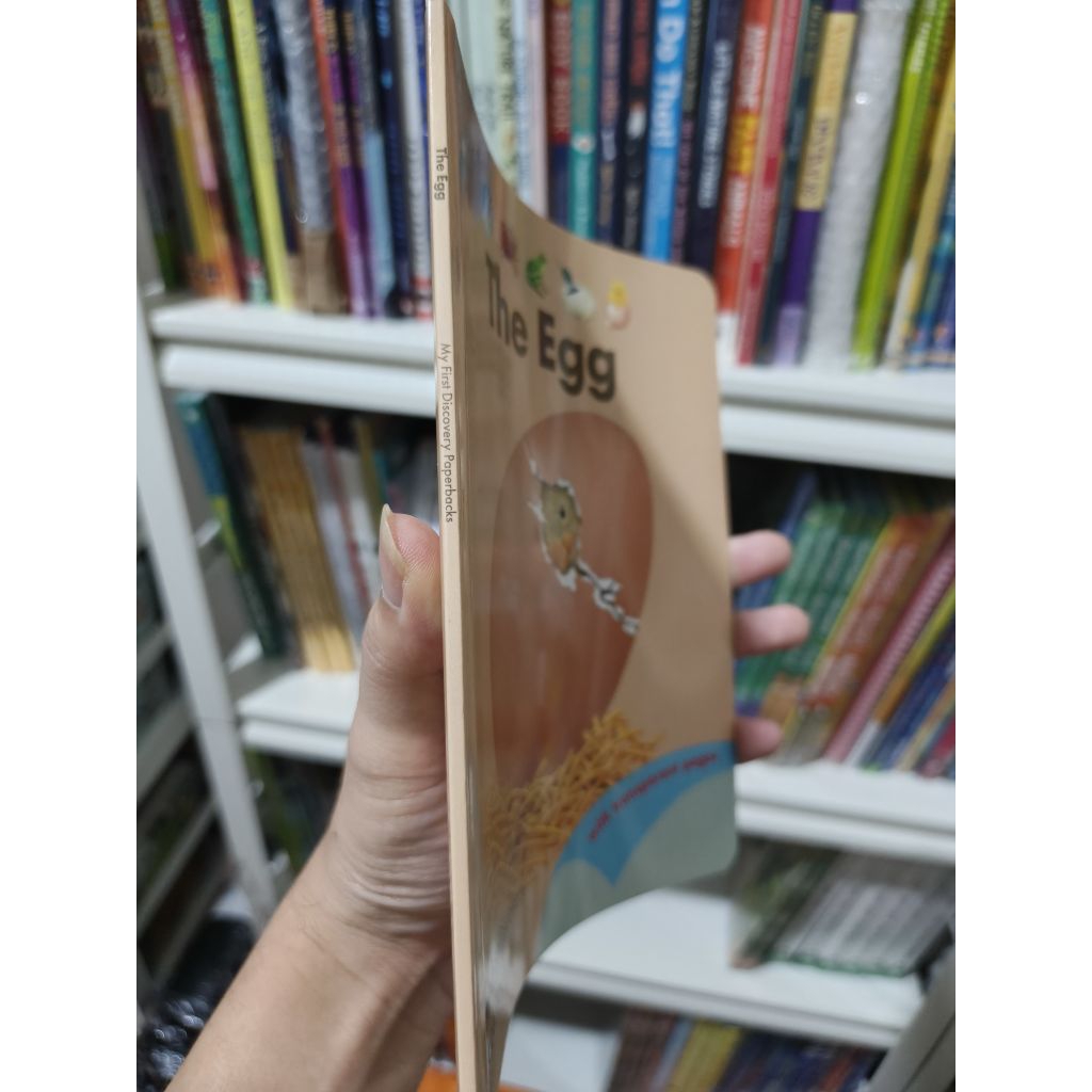 MFD The Egg Science Educational Book paperback