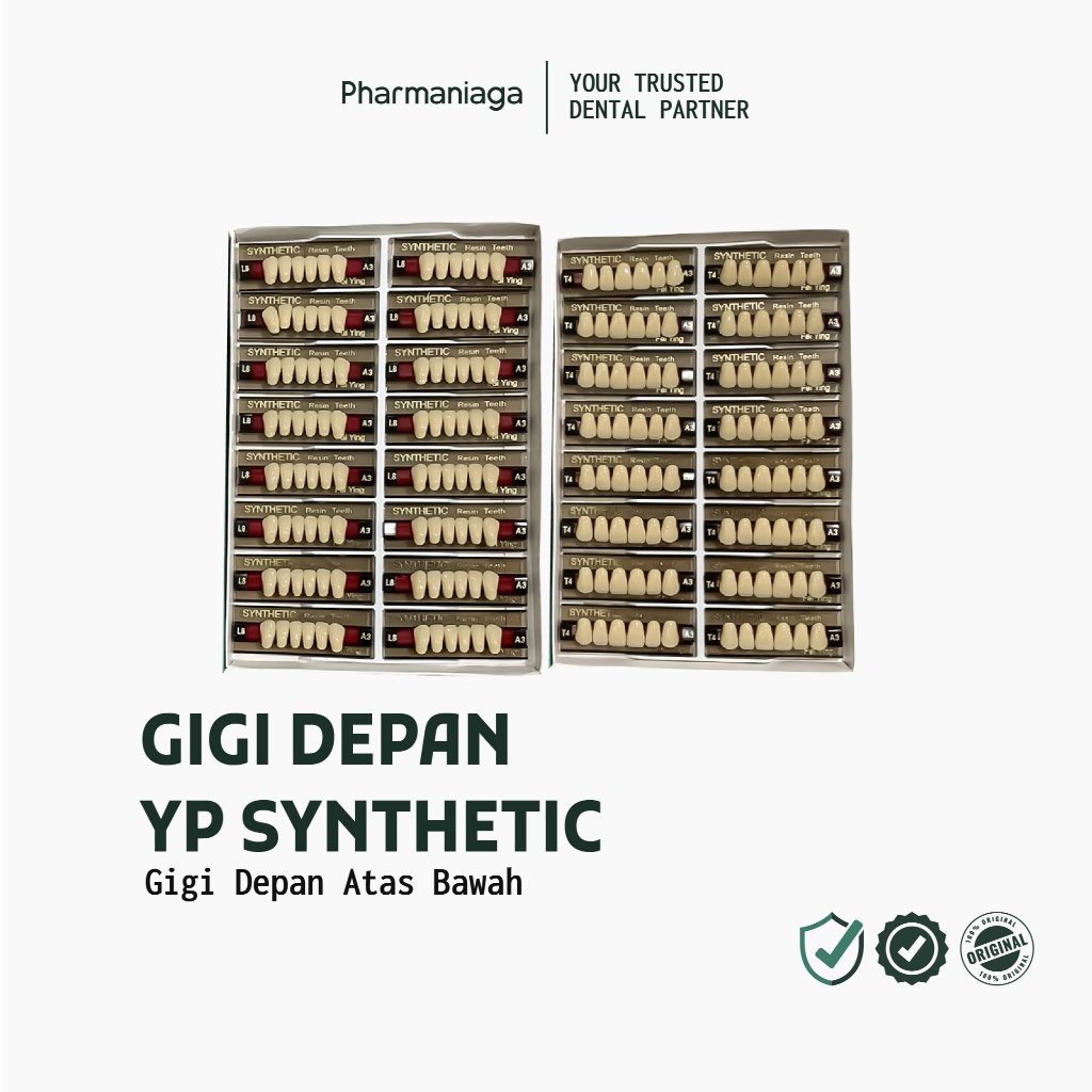 Pharmaniaga - YP Dental Gigi Sintetis Gigi Palsu Depan Bawah 1 Box