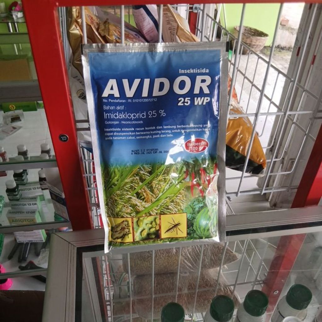 Avidor