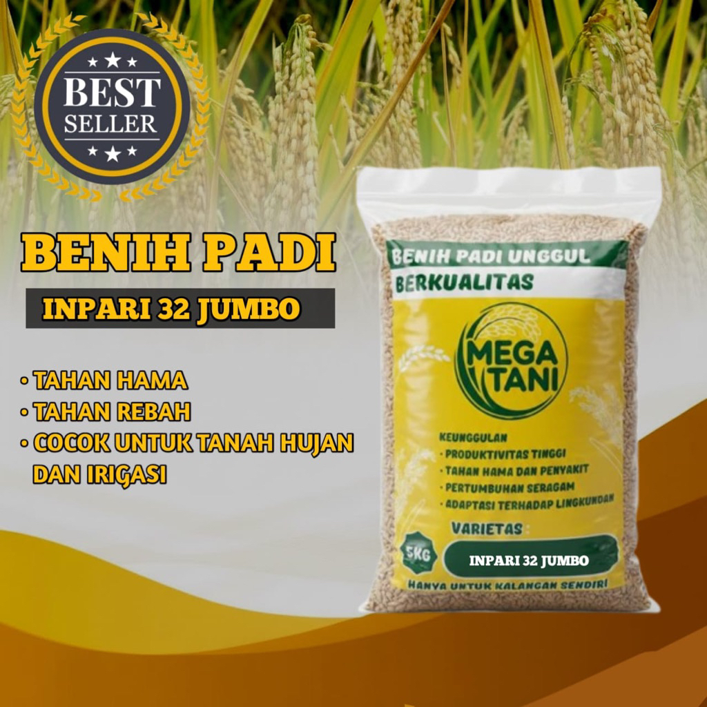 Benih Padi Inpari 32 Jumbo Berkualitas Tinggi Premium
