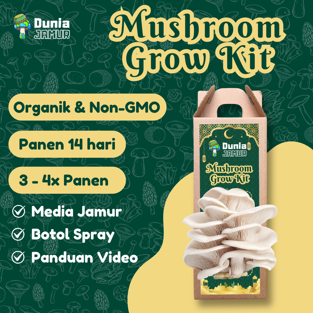 Hampers Parcel Lebaran Idul Fitri Mushroom Grow Kit DIY Belajar Tanam Jamur Tiram di Rumah Edukasi K
