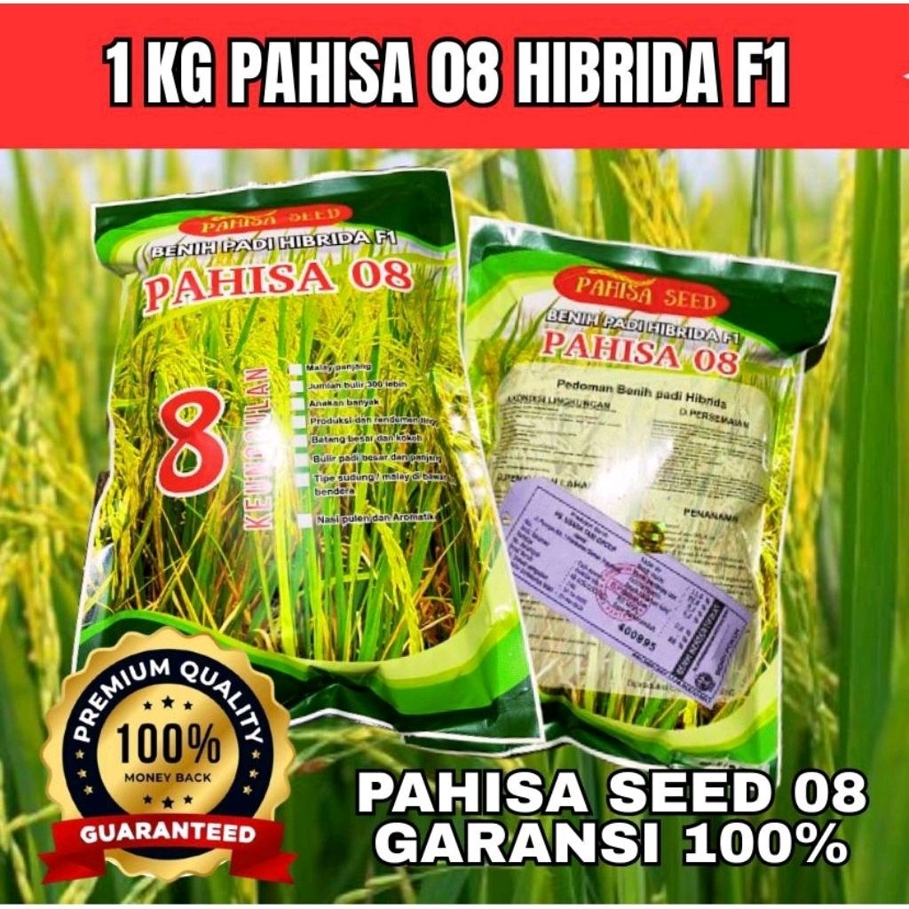 Benih Padi Hibrida Pahisa 08 Potensi Tinggi Kualitas Super Unggul 1kg Ori