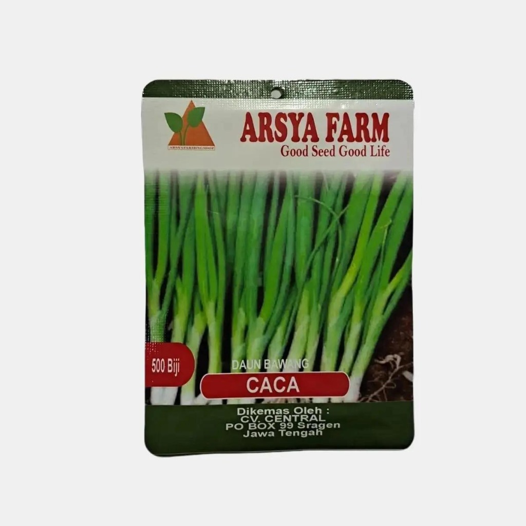 BENIH DAUN BAWANG CACA 500 BIJI - MERPATI SEED