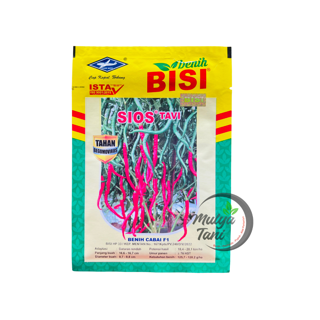 Benih Cabe Keriting Hibrida Sios Tavi - 10 Gram Cap Kapal Terbang Original
