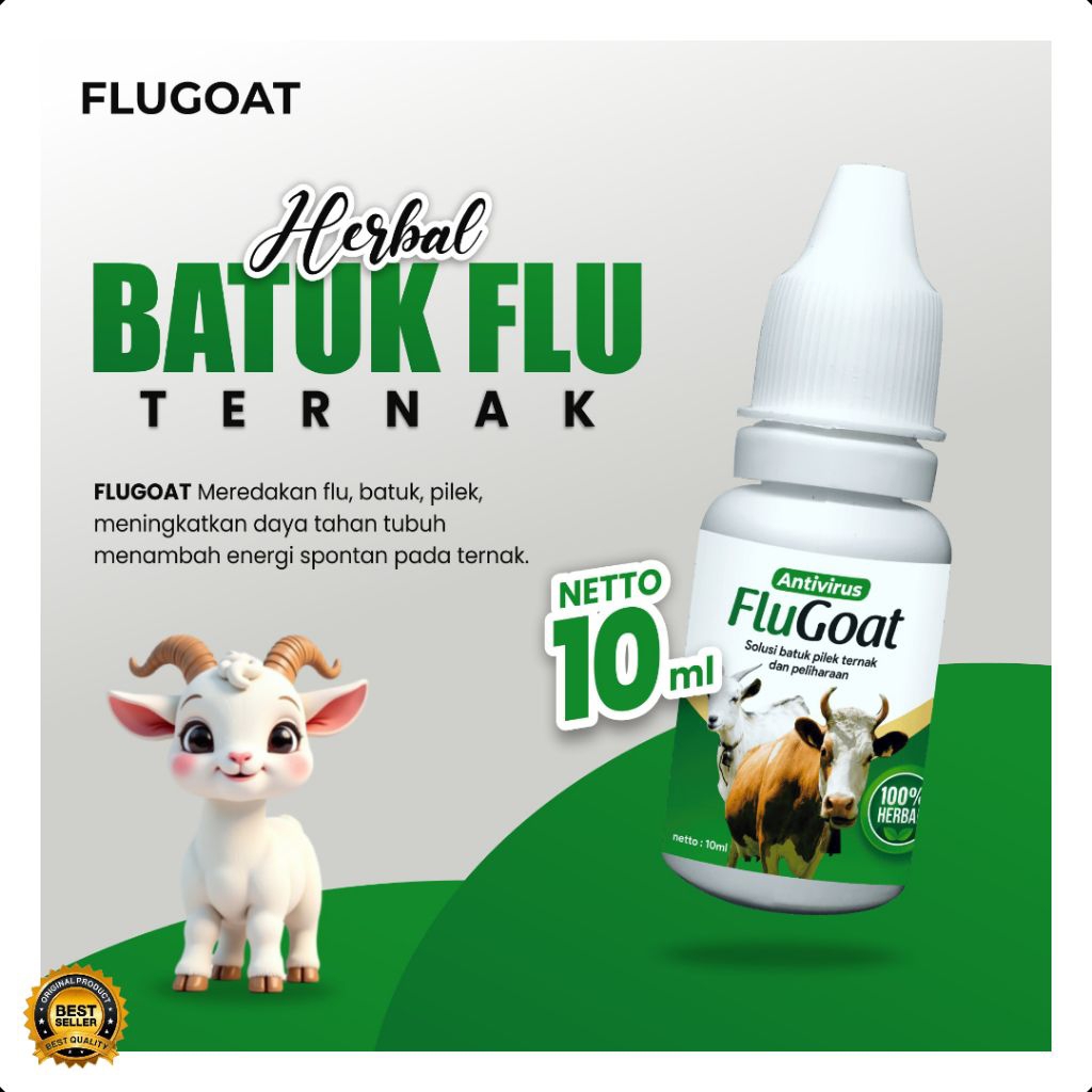 TERAMPUH  Obat Kambing Flu Alami, Obat Kambing Flu Batuk, Obat Kambing Flu Dan Batuk