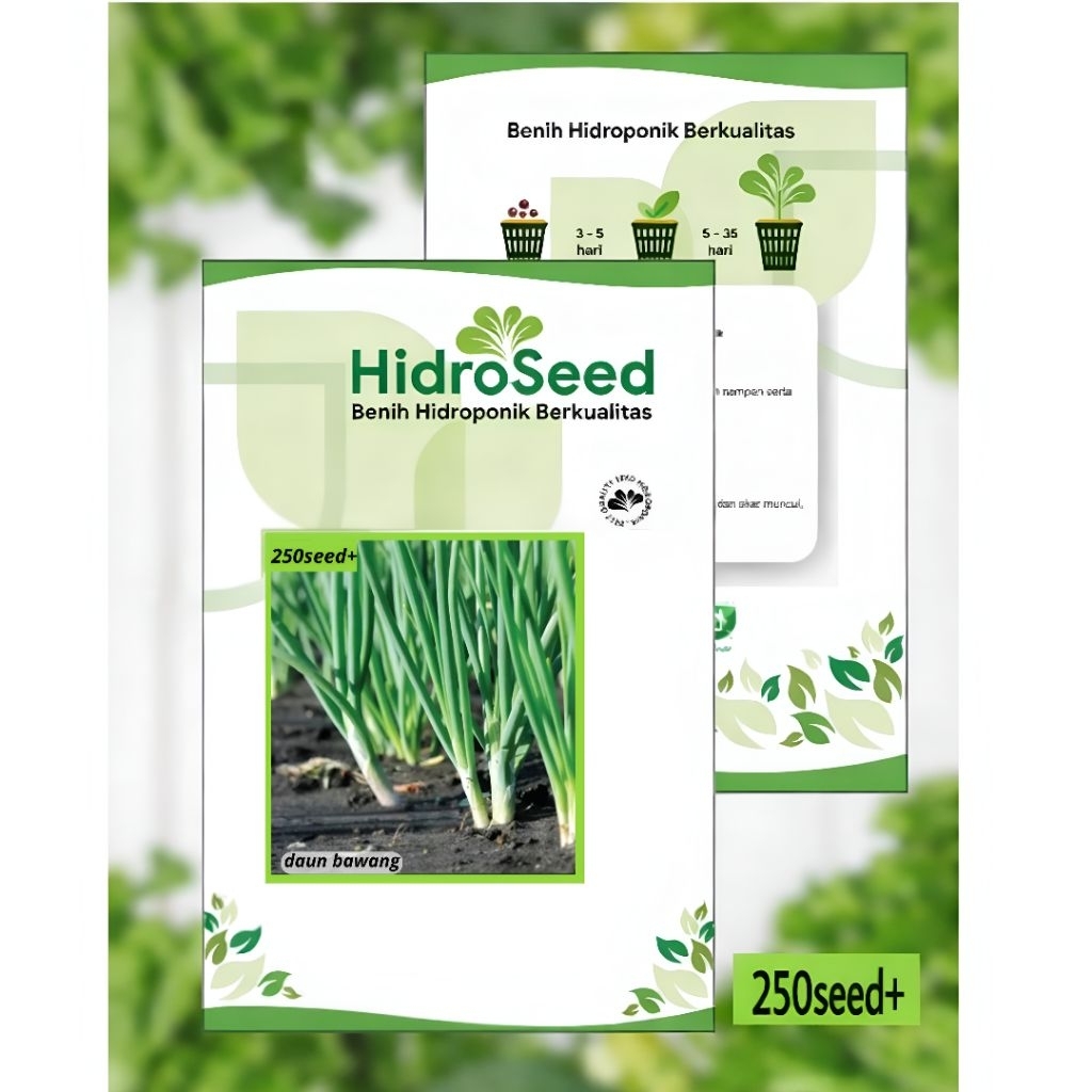 BENIH DAUN BAWANG F1 UNGGUL-HIDOSEED