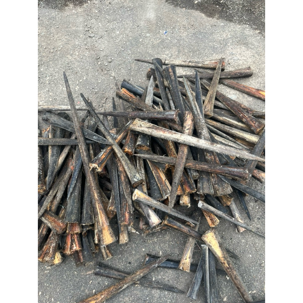 bahan once tulang, bahan moncong Marlin, bahan moncong ikan marlin asli natural