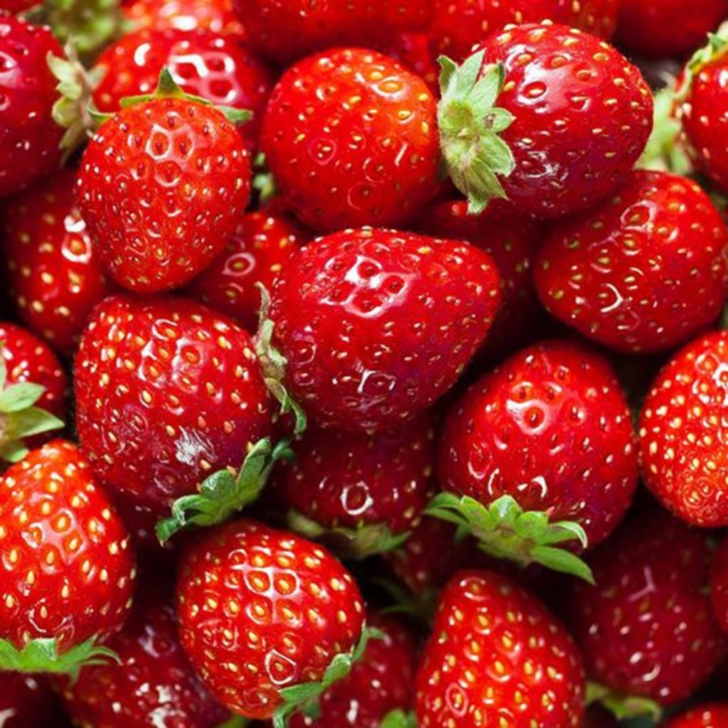 strawberry segar dan fresh kwalitas terbaik dari ciwidey bandung 1kg