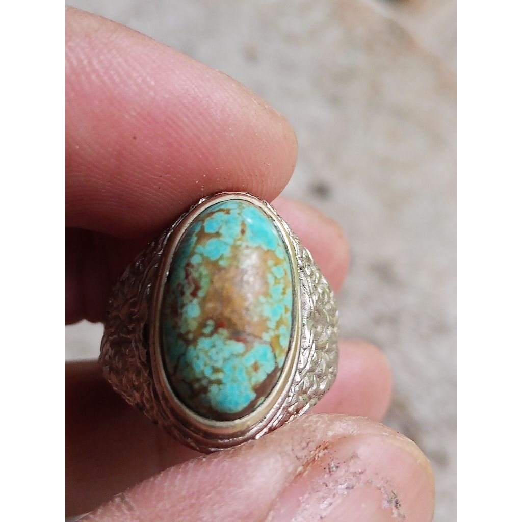 Pirus Mesir Serat Merah lawas mumbul