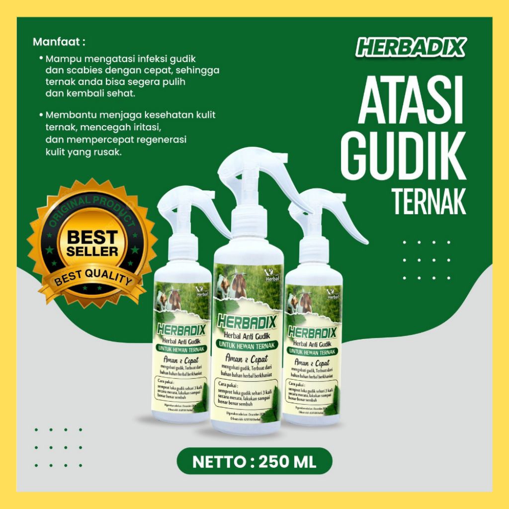 TERJAMIN  Obat Gudik Ternak Kambing, Obat Gudik Ternak Kambing Paling Ampuh, Obat Gudik Ternak Kambi