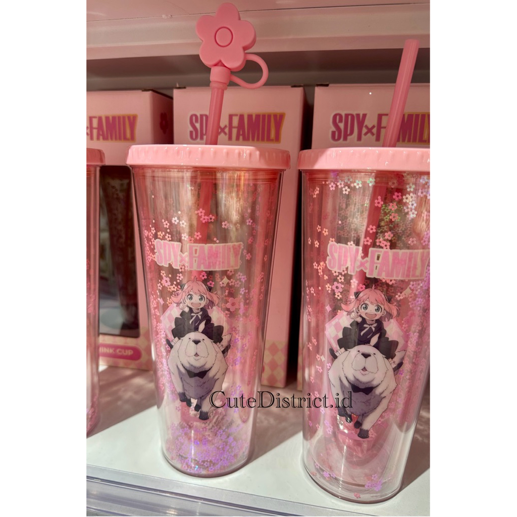 SPYxFAMILY cup 750ml