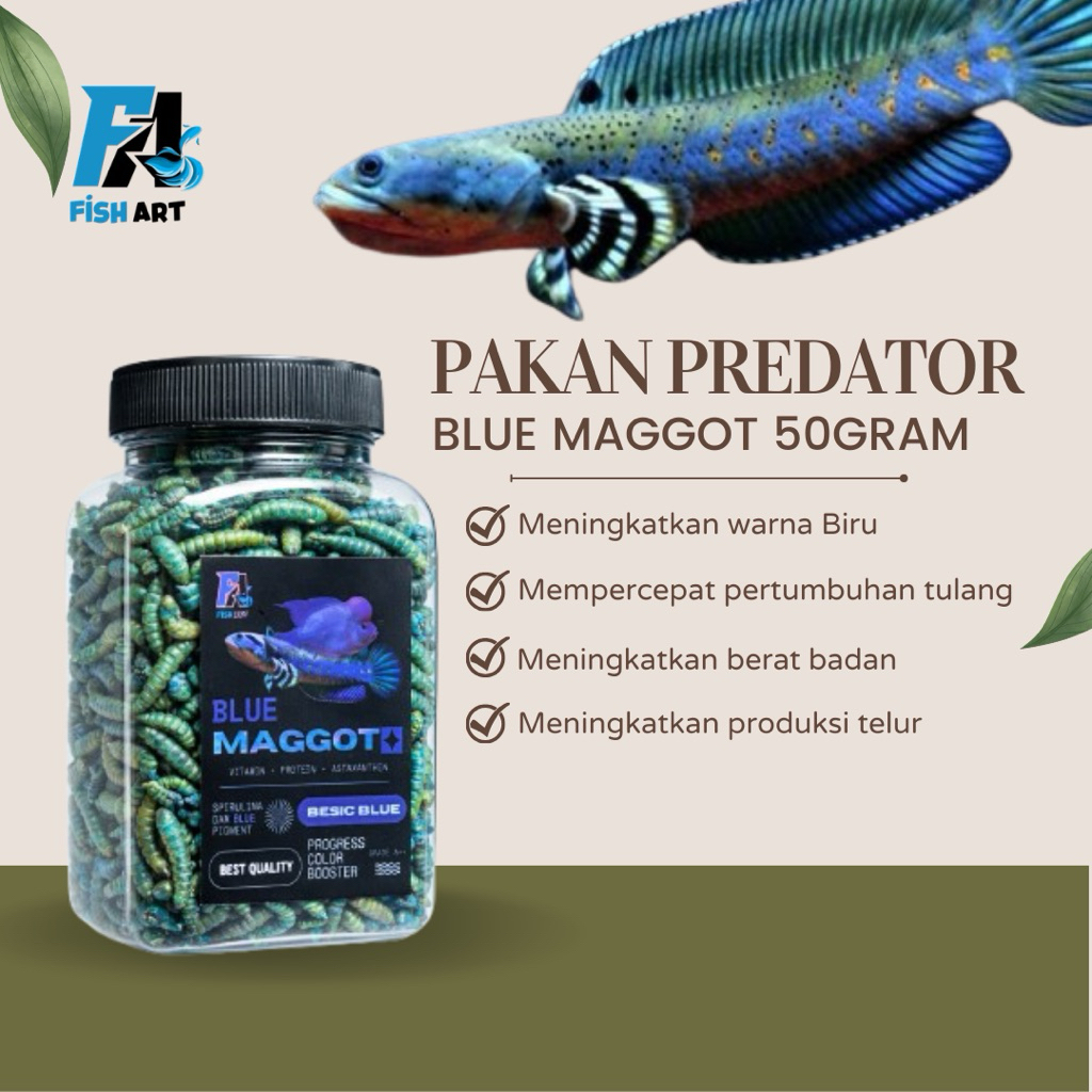 Fish Art • Blue Maggot 50gram Pakan Predator Channa Blue Pulcra