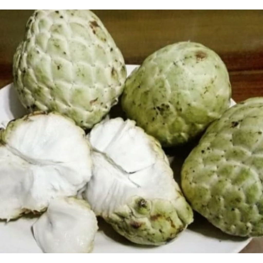 Buah Srikaya Jumbo fresh 1kg