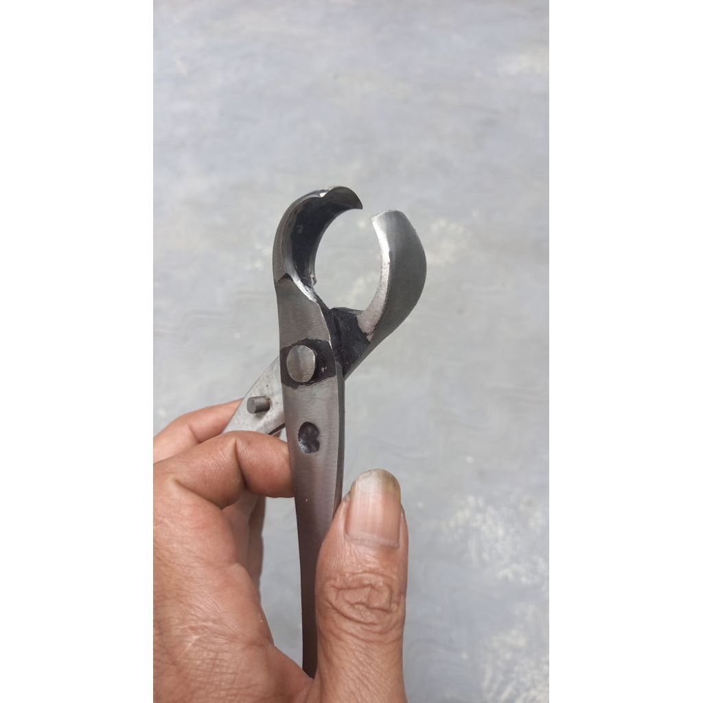 catok bonsai lokal cembung