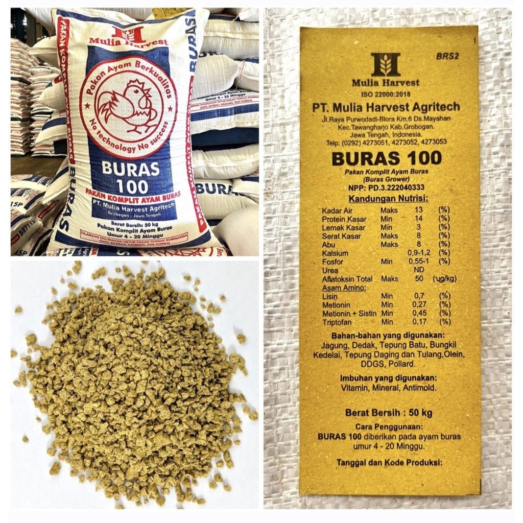Buras 100 protein 14% | pakan komplit ayam buras