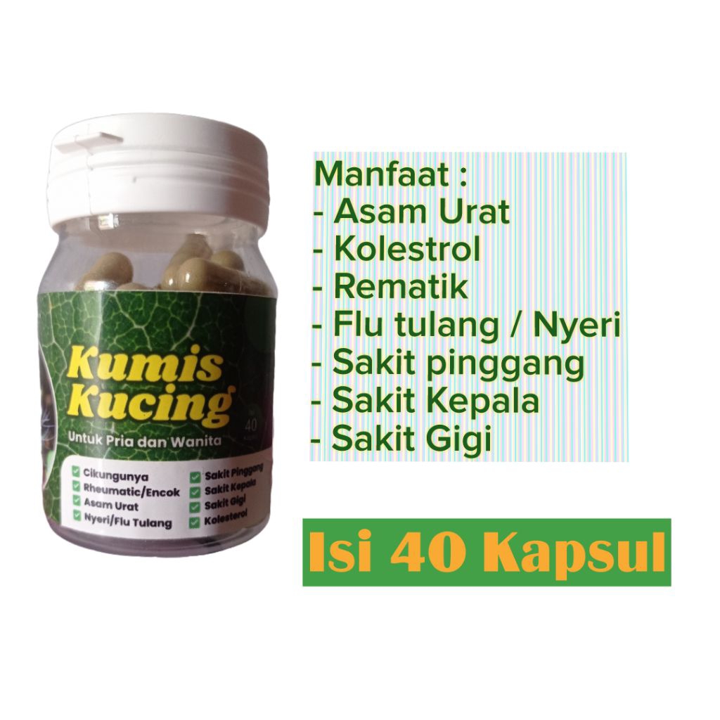 KAPSUL KUMIS KUCING HERBAL ASAM URAT