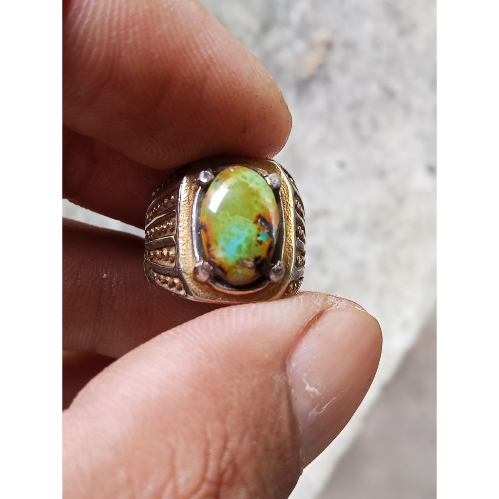 pirus Persia hijau kedondong kelingking porselen