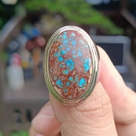 Pirus Persia biru urat merah kombinasi putih lawasan