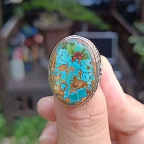 Pirus Persia Natural lawasan