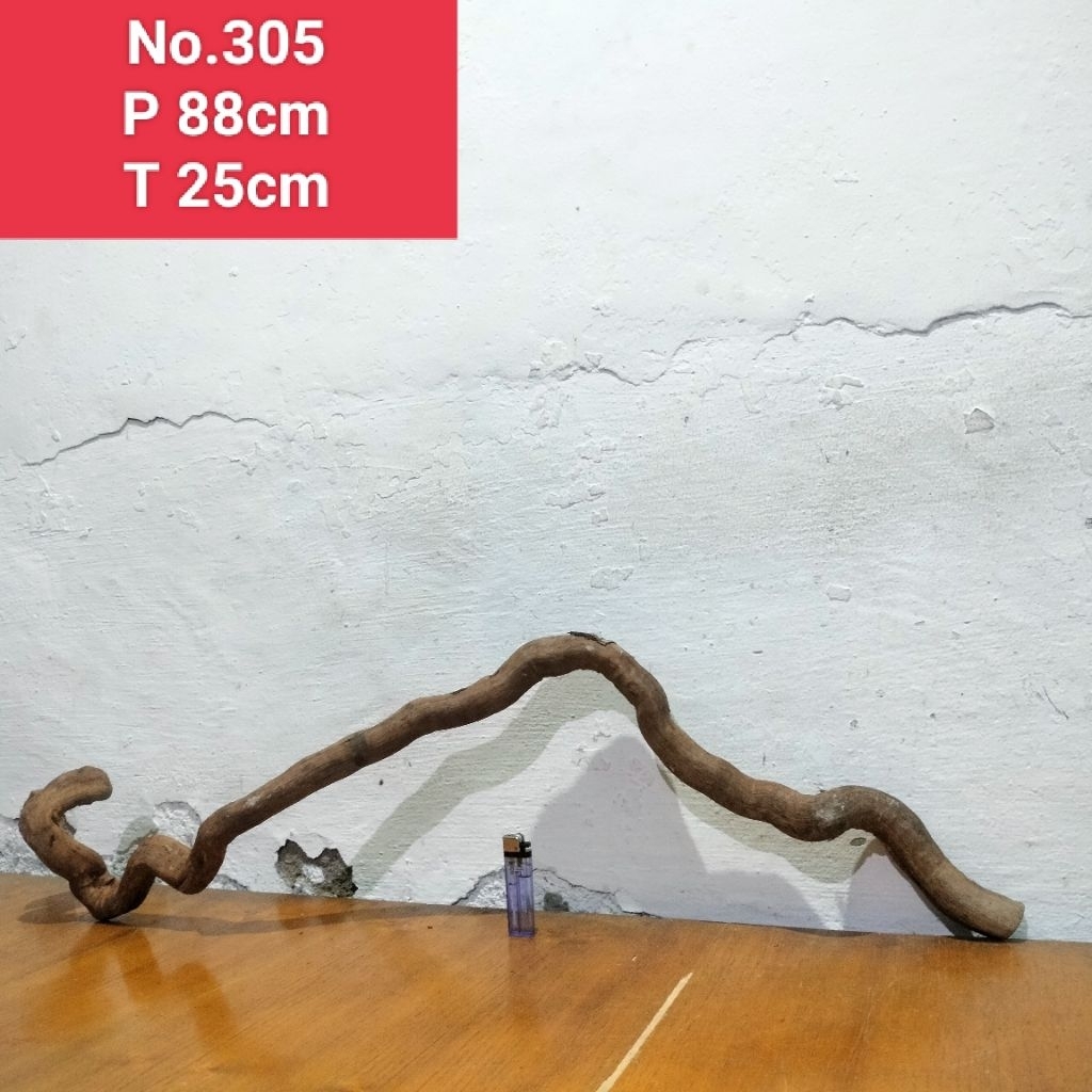 akar santigi laut kayu santigi aquascape aquarium 305