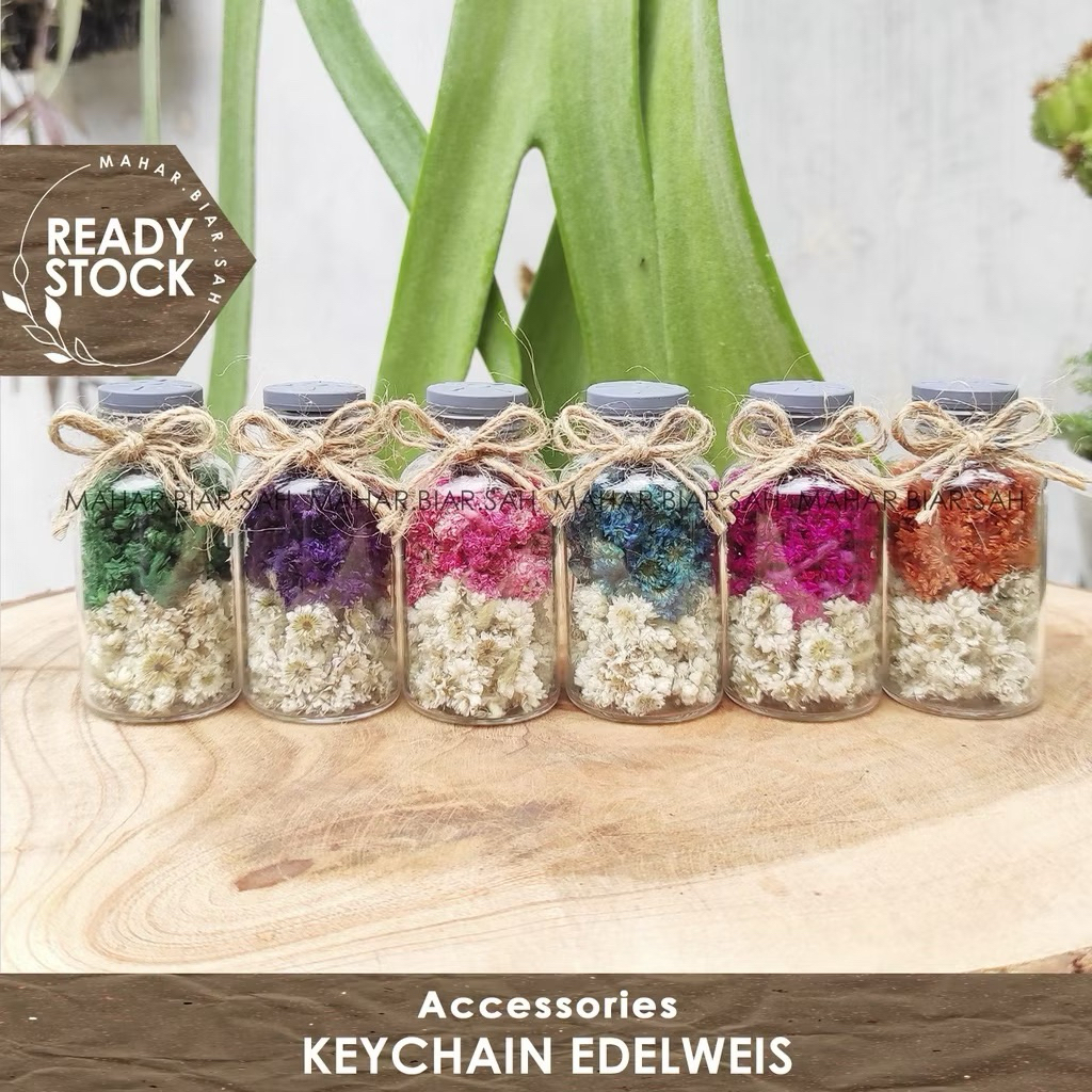 Gantungan Kunci Bunga Kering Edelweis Mix 3 Warna - Tali Goni, Botol Kaca, Souvenir Rustic