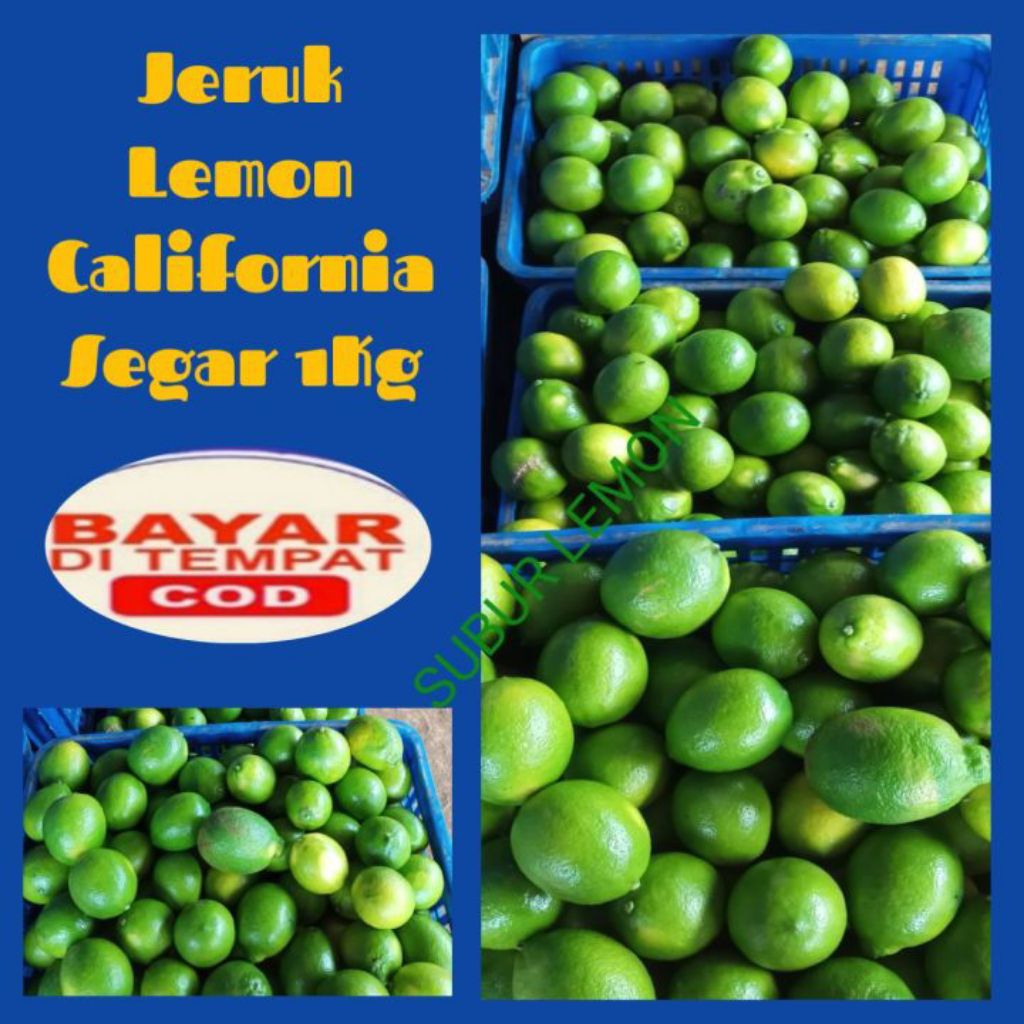 Lemon California 1kg-Jeruk Lemon California-Jeruk Lemon - lemon segar 1kg