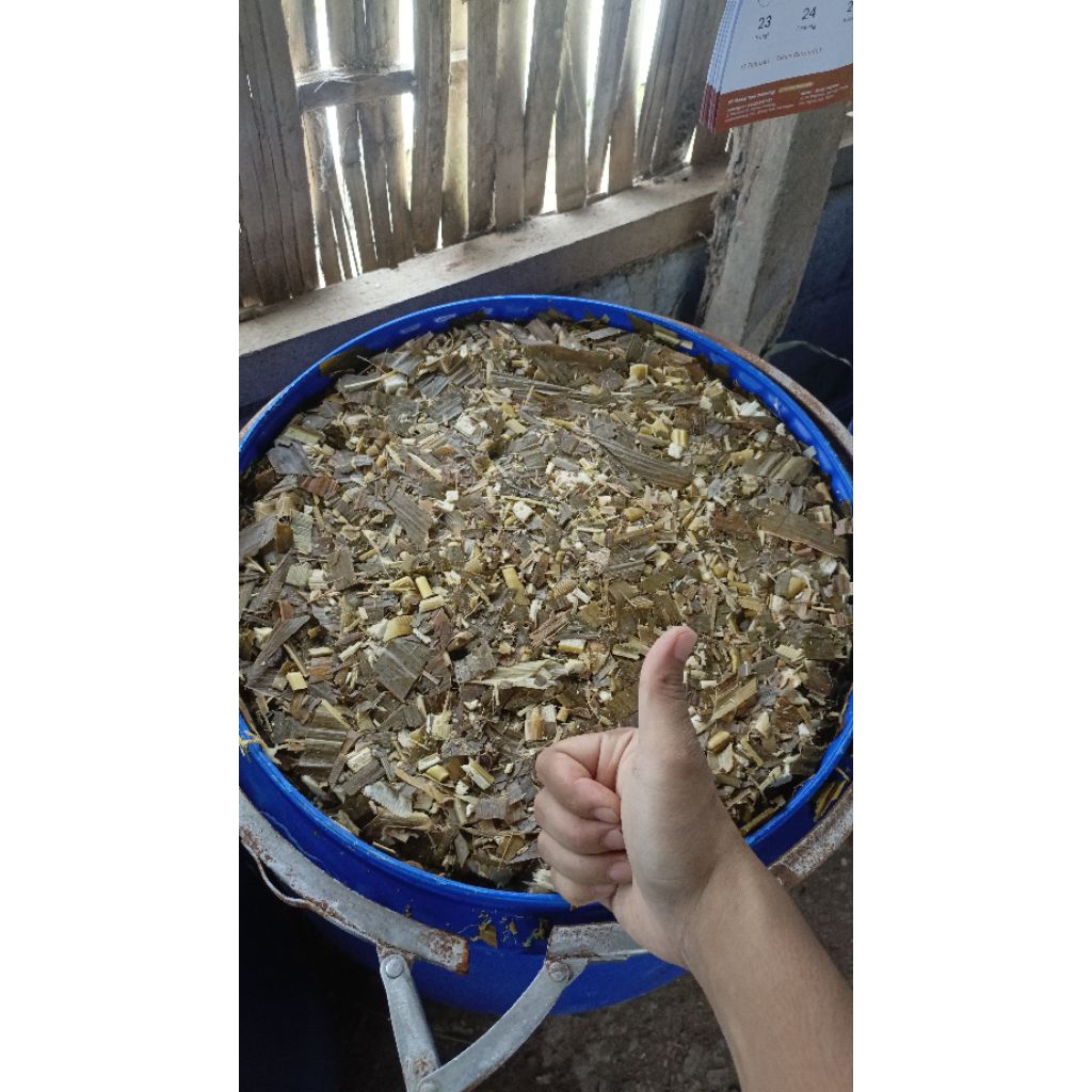 PAKAN TERNAK SILASE FERMENTASI TEBON JAGUNG 25 KG