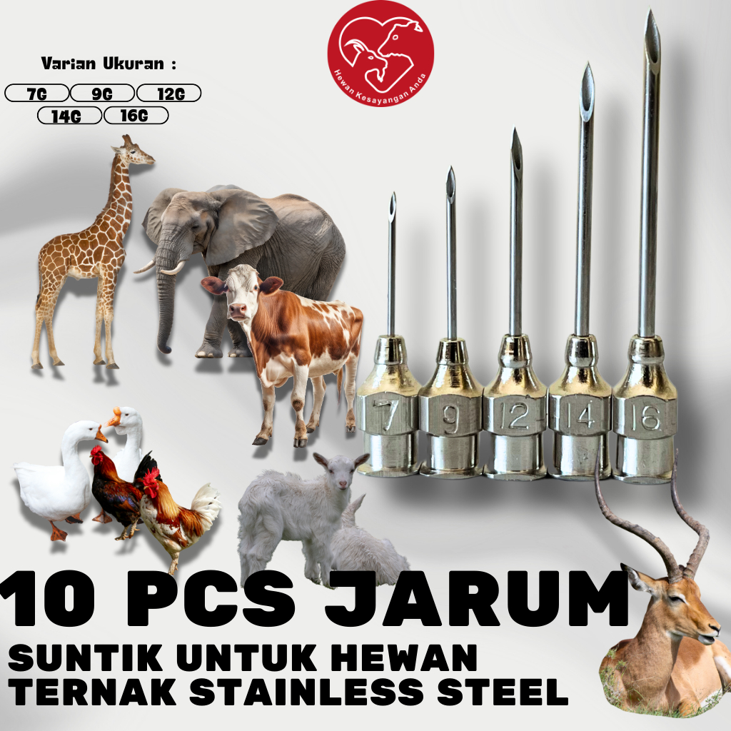 10 pcs Jarum Suntik Hewan Vaksin Ternak Unggas Ayam Kambing Sapi Jarum Suntik Stainless Steel