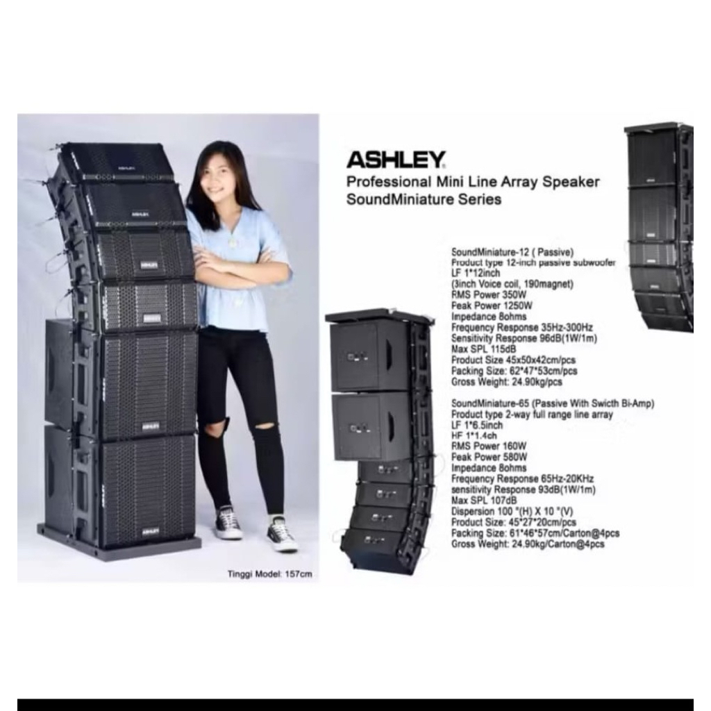 LINE ARRAY SAJA 4 BOX 6,5INCH MINIATUR ASHLEY ORIGINAL
