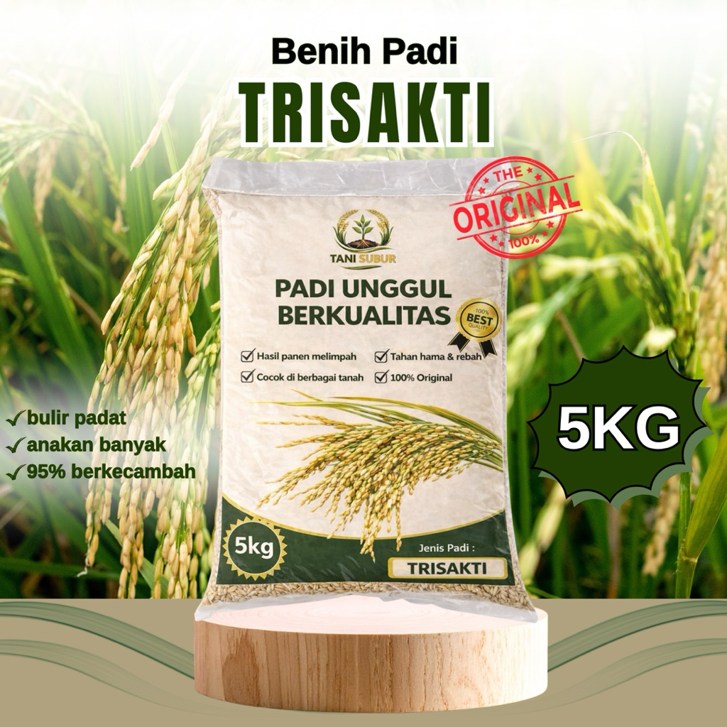 Benih Padi Unggul Trisakti benih padi berkualitas 5kg