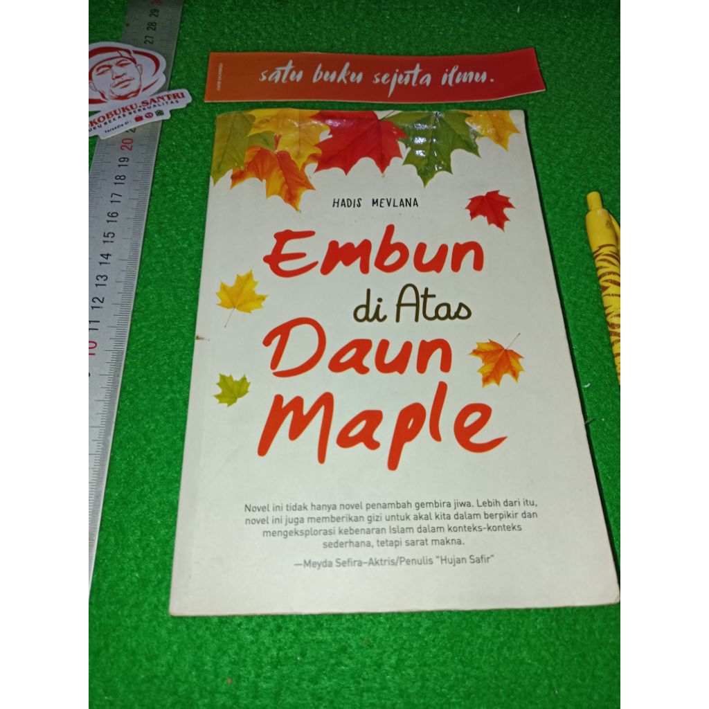 Buku Novel Islami : Embun di Atas Daun Maple by Hadis Mevlana.