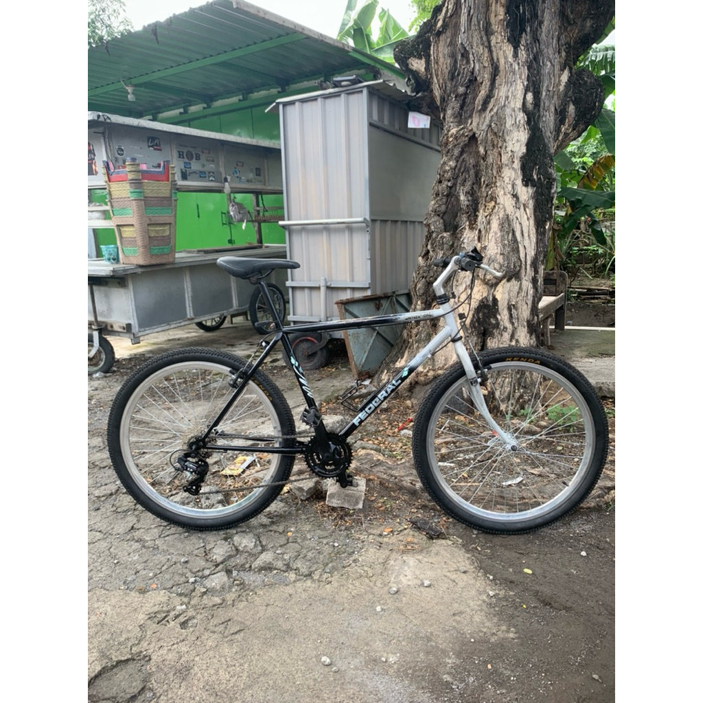 frame set federal street cat 19,5
