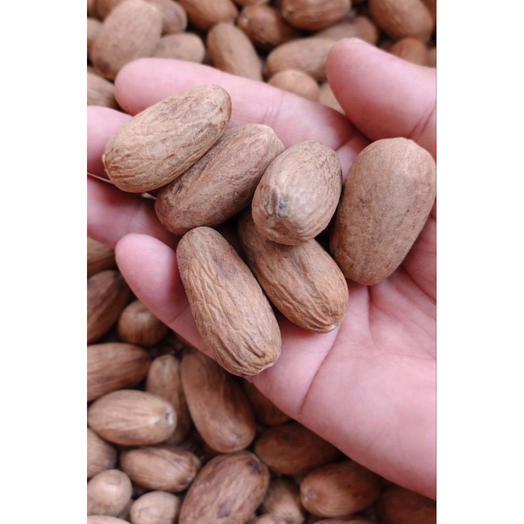 Pala Fakfak Kupas K1 Lonjong 1Kg