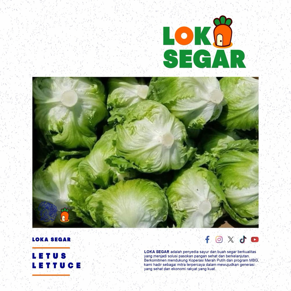Lettuce 500 gram | Sayur Segar Instan Malang