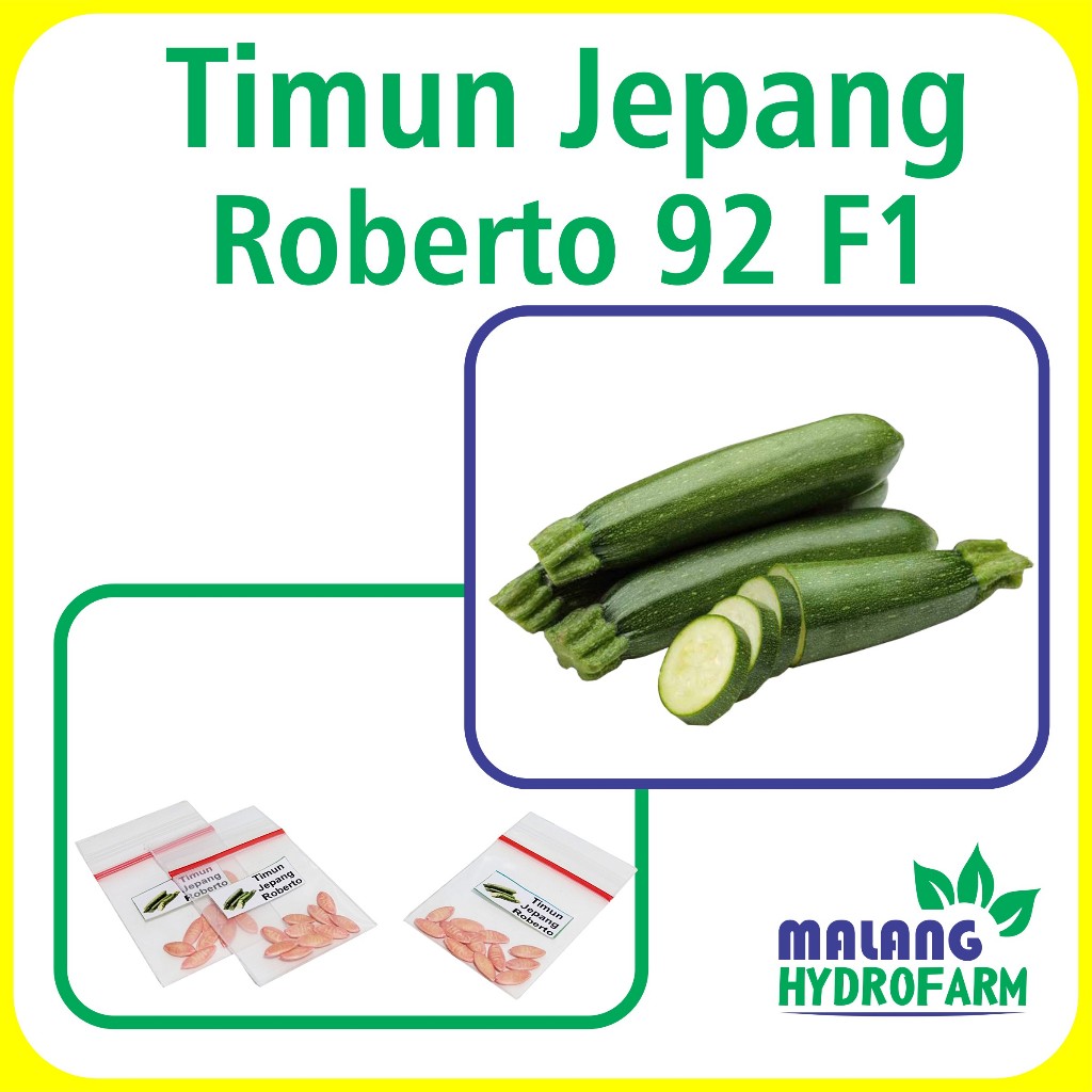 Benih Timun Jepang Roberto 92 Repack Cap Kapal Terbang biji bibit mentimun hydroponik hidroponik say