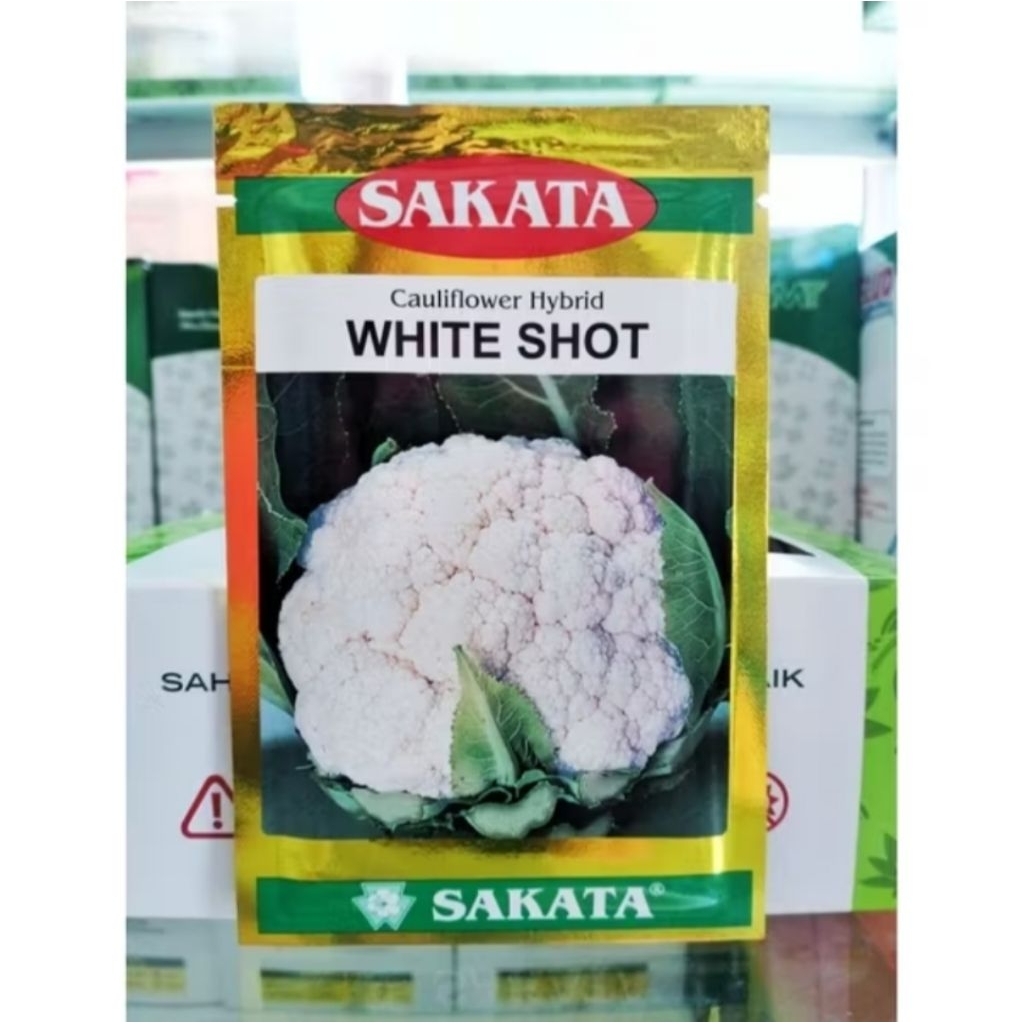 benih bunga kol couliflower hybrid SAKATA F1 kemasan 10gram profuksi benih sakata