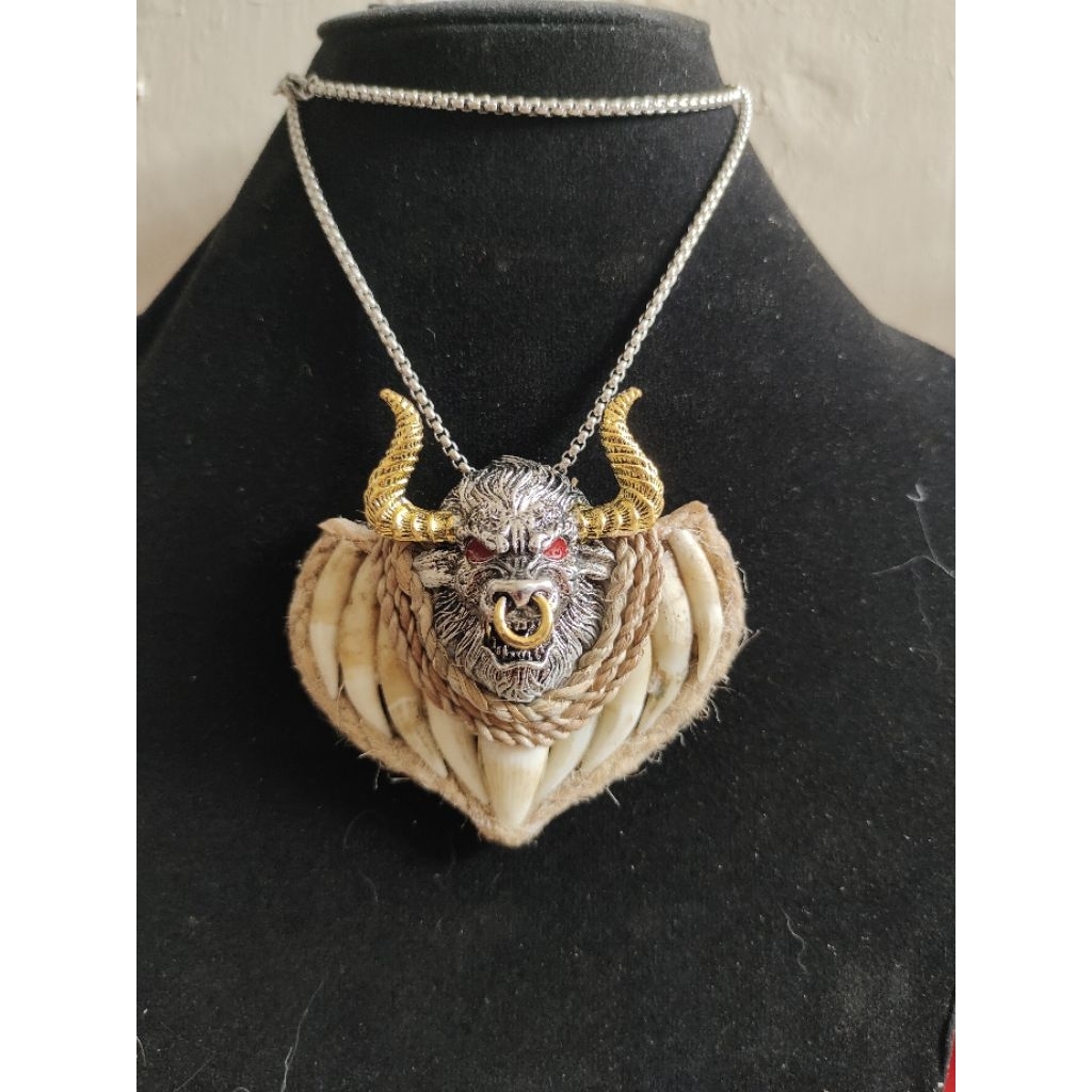 Taring Buaya Kepala Banteng Pancar 9