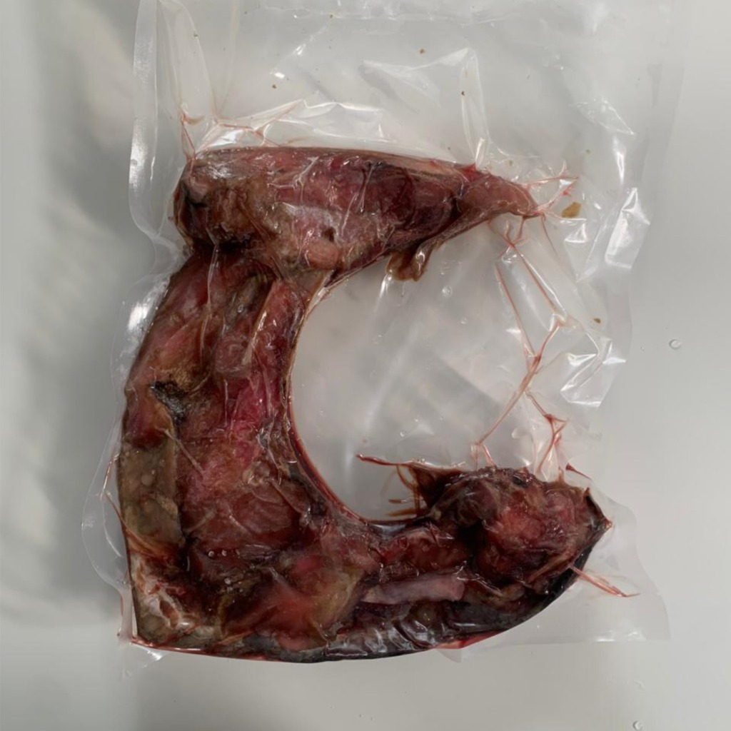 Rahang Ikan Tuna Segar Frozen - Kama Tuna Besar