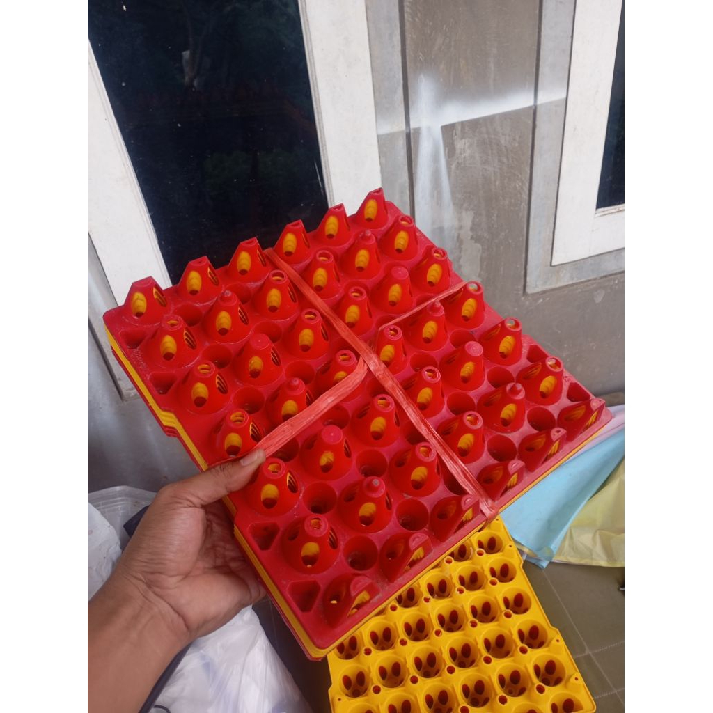 Medion Egg Tray plastik 30 Butir Telur Ayam Bebek