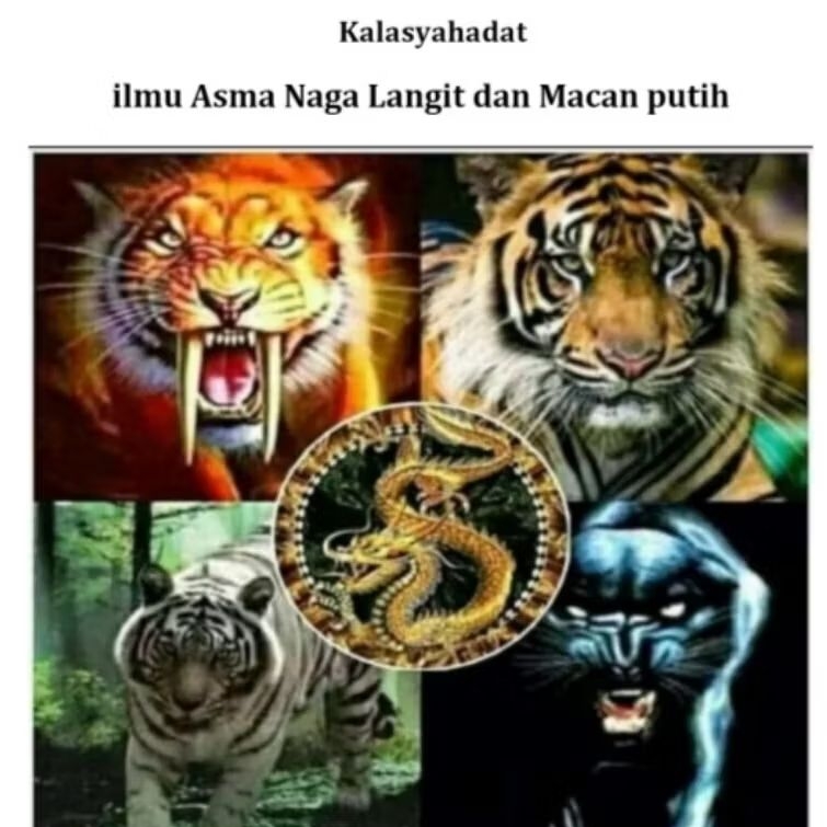 Buku terjemahan Ilmu asma naga dan macan putih