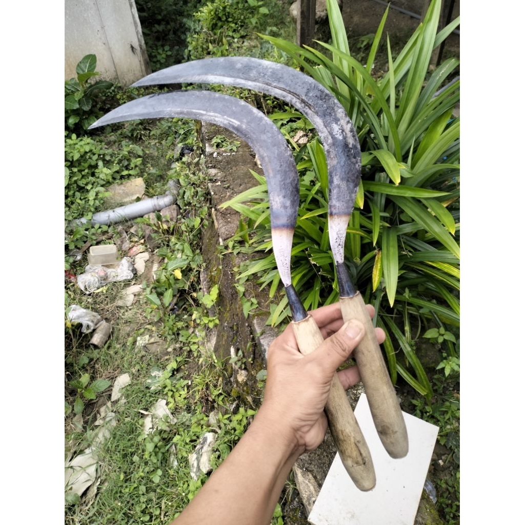 arit anyih ukuran kecil khusus padi