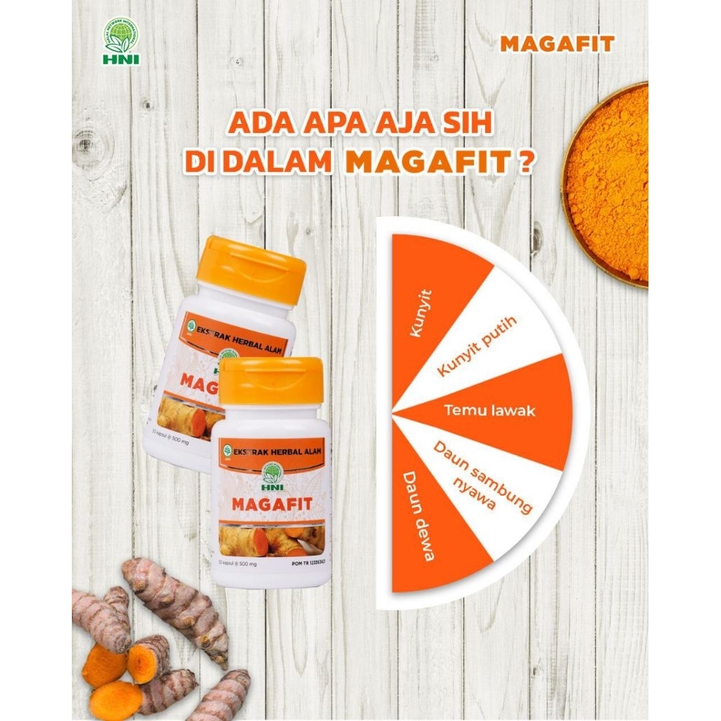 Magafit suplemen pencernaan HNI, Obat Asam Lambunh, obat sakut maag alami herbal