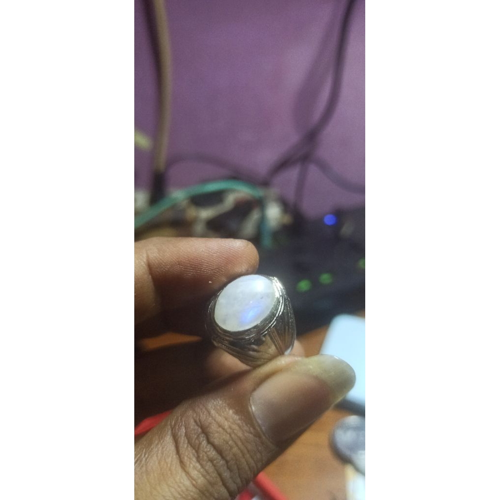 BIDURI BULAN AIR LAUT