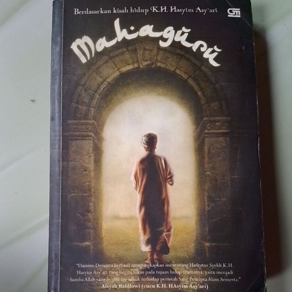 Novel mahaguru