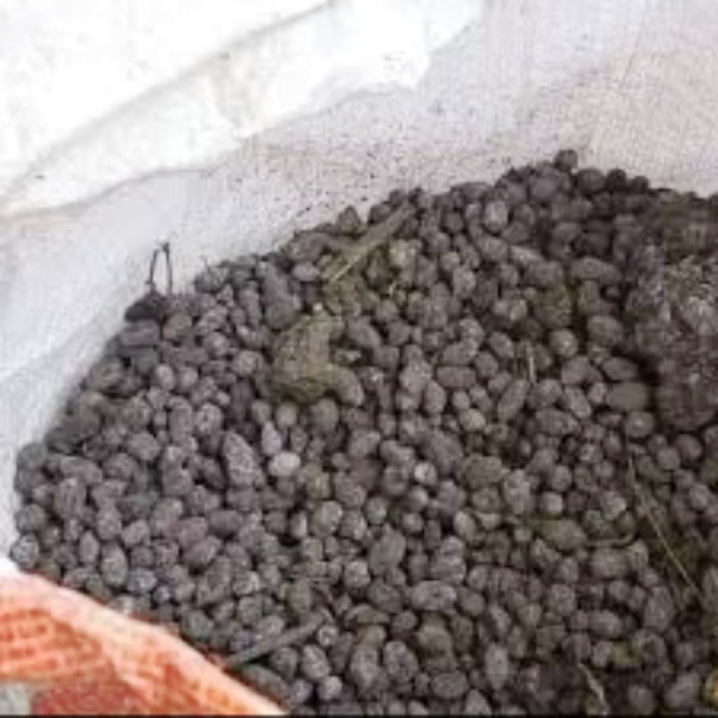 Kohe Kambing karung 25 kg