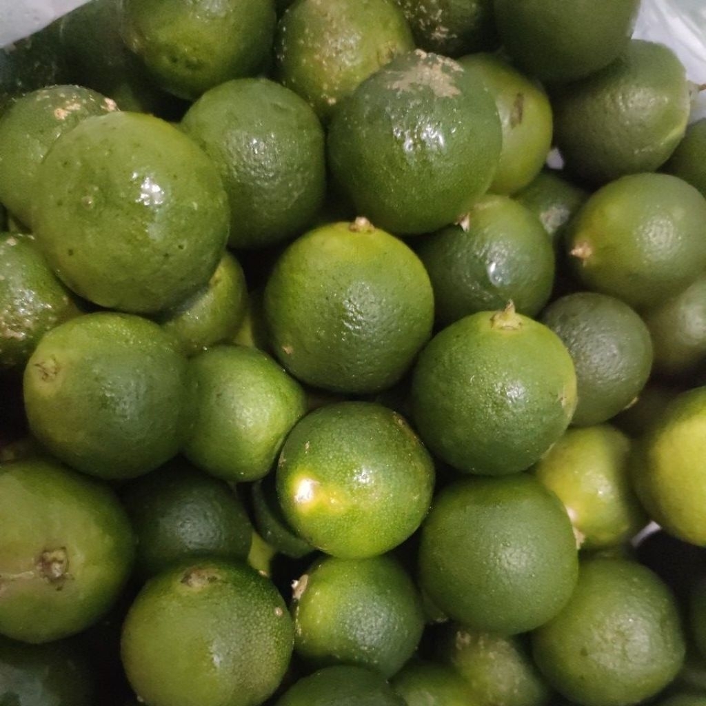 Jeruk kasturi jeruk sonkit