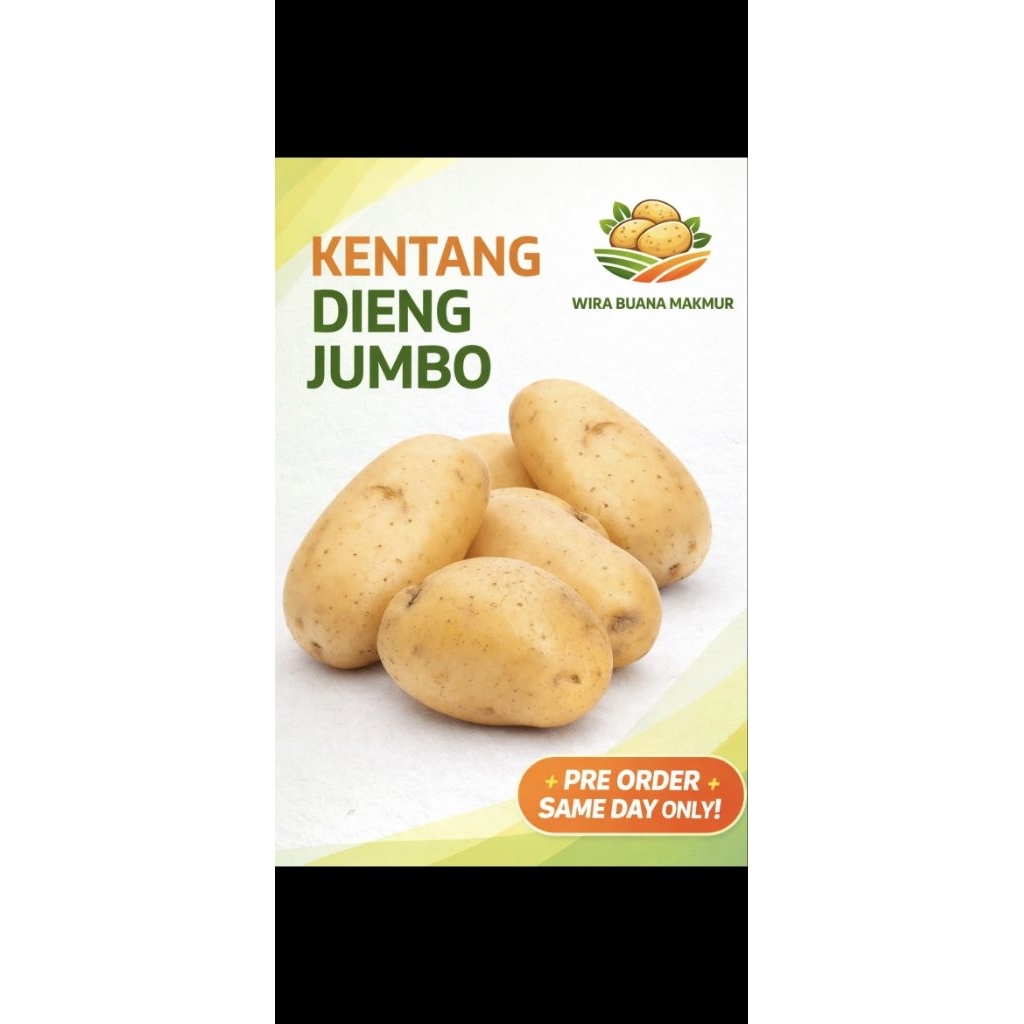 Kentang Dieng Jumbo 1kg (4pcs) – Fresh Harian – Bisa Instant